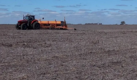 Avanza a buen ritmo la siembra de girasol y maíz temprano en el centro-norte de Santa Fe