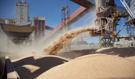 El gobierno agita la competencia entre productores para que vendan ya todas sus cosechas