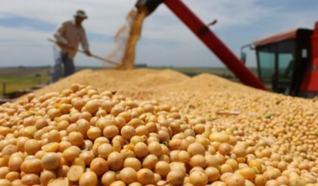 Se agotó el cupo de USD 7.000 millones en exportaciones con 0% de retenciones