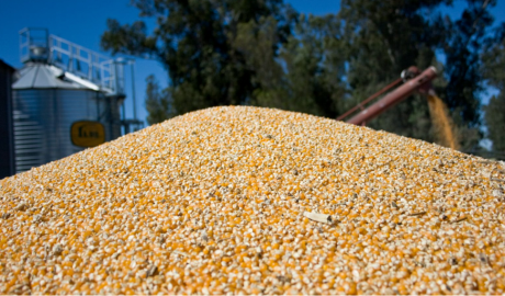 Las exportaciones agroindustriales crecieron 6% en volumen en los primeros 7 meses del año