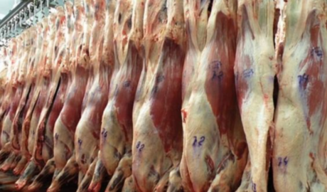 Exportaciones de carne: Argentina se encamina a romper la barrera del millón de toneladas