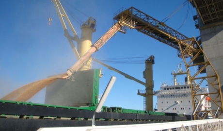 Argentina marca un récord histórico en las exportaciones de trigo durante agosto de 2025