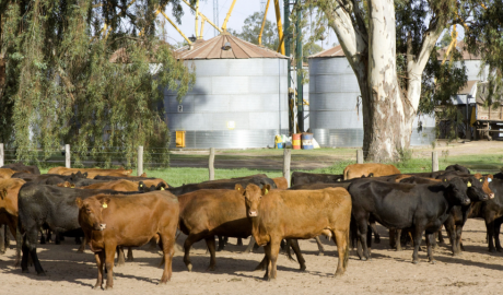 Impulso al desarrollo productivo y a las exportaciones agropecuarias