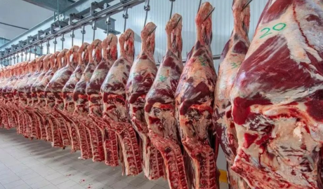 Chile levantó suspensión a Argentina por importación de carne vacuna y en la Patagonia esperan por UE