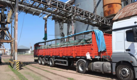 Puerto de Barranqueras concretó una nueva exportación de trigo a Bolivia