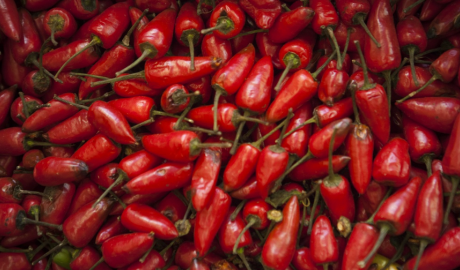 Argentina actualiza su reglamento sobre calidad del pimiento en línea con el Mercosur