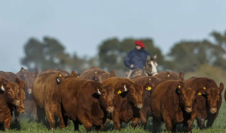 El campo no frena y exporta cada vez más