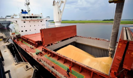 Exportaciones agropecuarias en alza: Argentina certificó más de 62 millones de toneladas entre enero y agosto