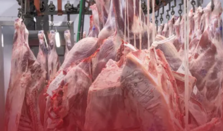 Agrosurmax anunció una oportunidad de inversión en exportación de carne vacuna a EEUU