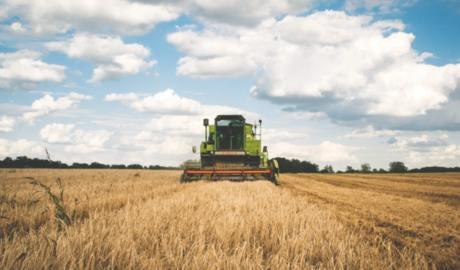 A qué ritmo están creciendo las exportaciones agroindustriales