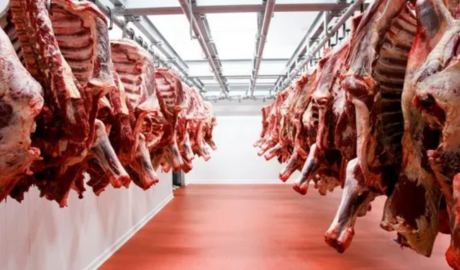 Escasez global de carne: por qué hay una oportunidad histórica para la Argentina