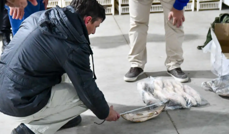 Santa Fe: el gobierno dio detalles del por qué limita la exportación de pescados