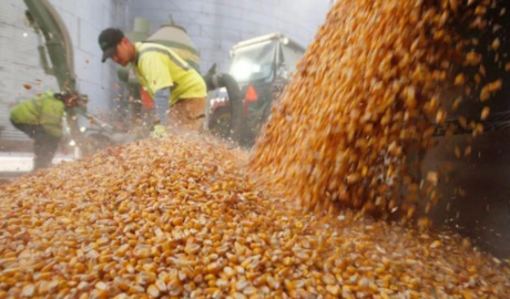 Las exportaciones del agro alcanzaron su nivel más alto desde 2021