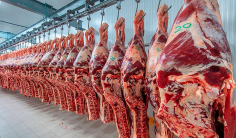 Subas en el valor de la carne: “La exportación superó el mercado interno”