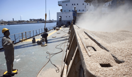 “Boom” exportador: más de 50 productos agroindustriales muestran su mejor desempeño en 7 años