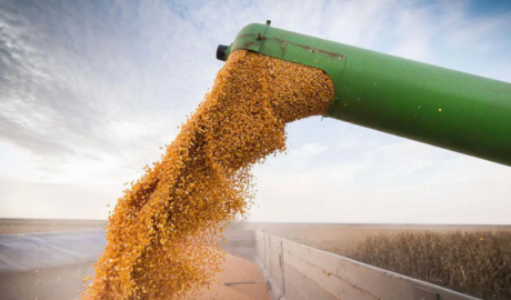 Las exportaciones del sector agroindustria pisan el acelerador y octubre marca el mayor salto del año