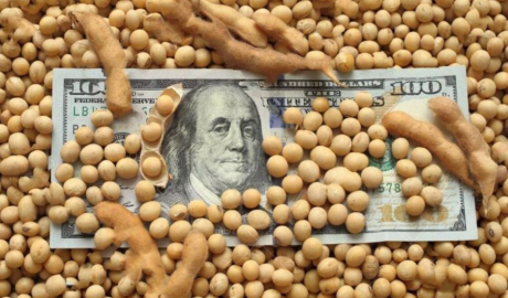 Argentina inundó a China de porotos de soja, mientras aumentó en un 20% sus importaciones