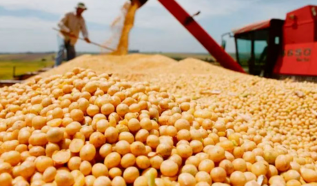 Tras el fin de semana largo, la soja ganó $5000 y cerró a $490 mil por tonelada en Rosario