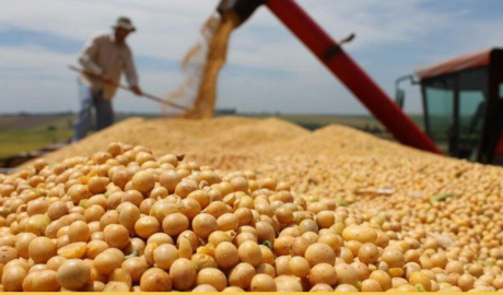 Fin de año con broche dorado: el agro, la industria y las exportaciones confirman el giro económico del Gobierno