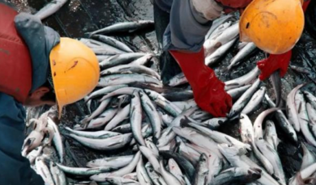 La pesca argentina advierte una crisis de competitividad por la presión impositiva y regulatoria