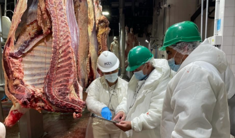 Recuperación de Exportaciones de Carne Argentina: Claves para 2026