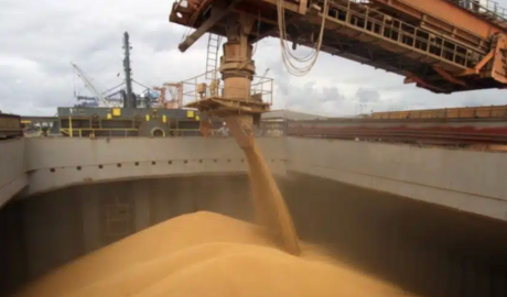 Baja de retenciones al trigo: el precio repunta 4% en Rosario y se reacomoda el mercado granario