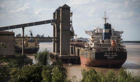 Agroexportación: el ingreso de divisas supera los U$S 30.000 millones