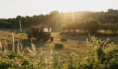 El agro aporta cerca del 20% de la economía argentina y lidera el ingreso de dólares