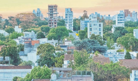 Mercado de Créditos en Dólares: Desafíos y Nuevos Códigos 2026