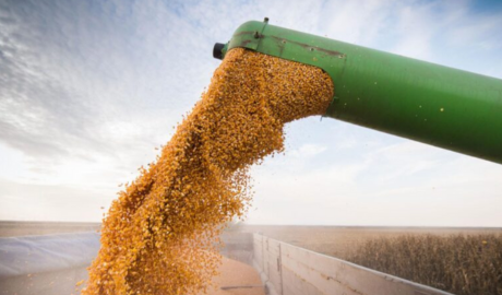 Santiago cierra el año con récord exportador y entre las primeras 10 del país