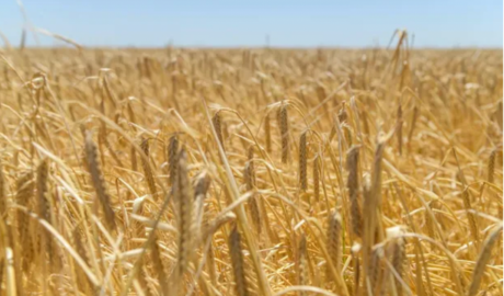 El Gobierno festeja el mes con las mejores exportaciones agroindustriales en 10 años