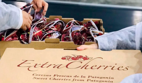 La nueva ruta Shanghai–Buenos Aires impulsa el comercio internacional y el transporte de frutas frescas