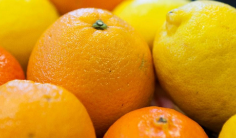 Argentina acordó con Japón mejoras en las condiciones para la exportación de cítricos