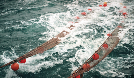 Los productos pesqueros argentinos podrán ingresar de manera más ágil al mercado europeo