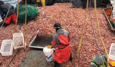 Empresas deberán informar y justificar el empleo no local