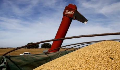 Argentina finalizó 2025 con saldo comercial positivo por USD 11.286 millones