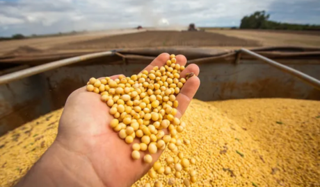 El agro volvió a ser el motor de divisas y exportó por US$ 50.000 millones