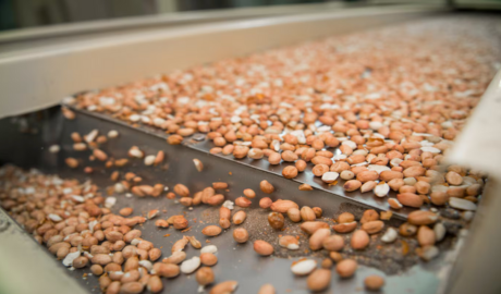 Con un alza de 12% en las exportaciones, el campo ingresó más de US$52.000 millones en 2025