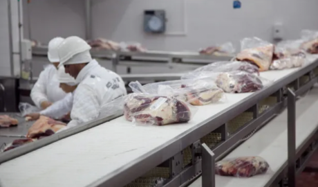Exportación de carne a Estados Unidos: el Gobierno adjudicó las 20 mil toneladas con Swift, Rioplatense y Gorina a la cabeza