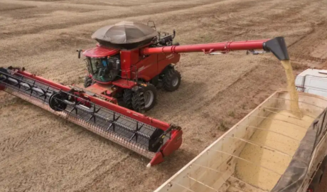 2025 tuvo mucho movimiento en el negocio de los granos, 50% más que en 2024