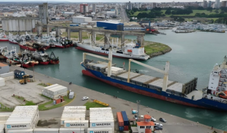 Exportaciones pesqueras: Cae noviembre, pero el balance anual supera al 2024