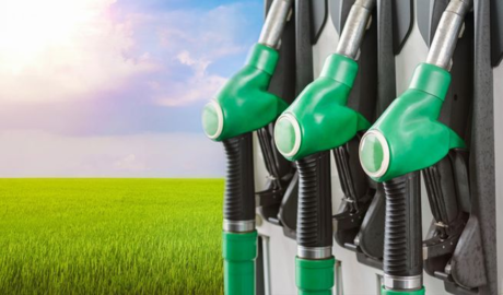 biodiésel argentino en riesgo en la Unión Europea