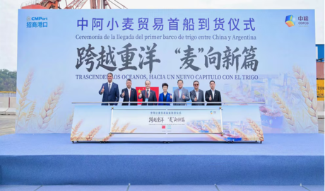 trigo argentino en China