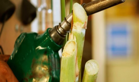 bioetanol en la agenda energética