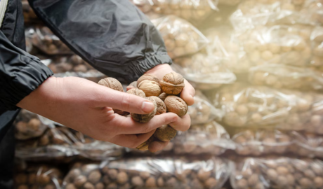 traslado de frutos secos en Mendoza