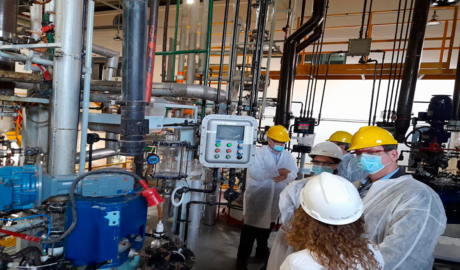 impacto del orden macroeconómico en empleo y actividad