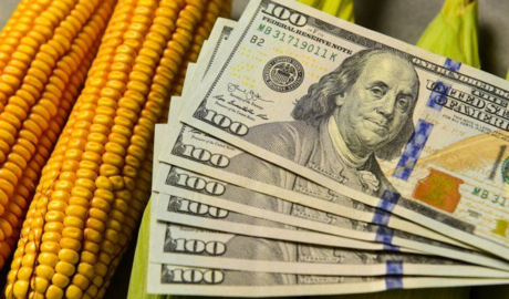Boom exportador primario y estabilidad del dólar