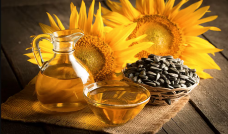 girasol rompe récords