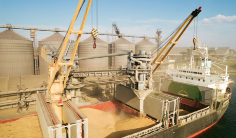 ajuste de controles para salida de granos en puertos argentinos