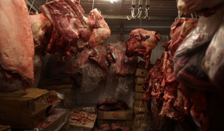 ventas de carne argentina al exterior